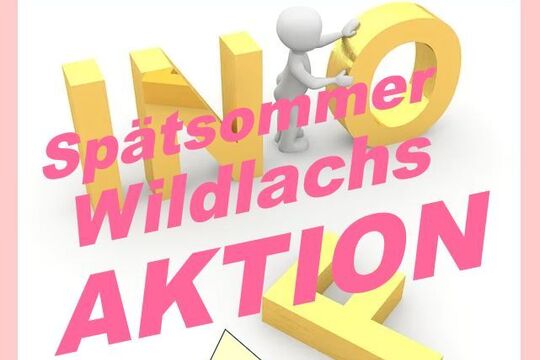 Spätsommer m. INFO Icon u. Rabatt - spez. Angebot Lachs - jetzt profitieren-1.jpg